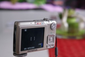 SONY DSC