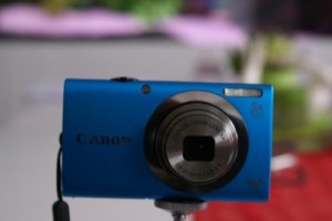 SONY DSC