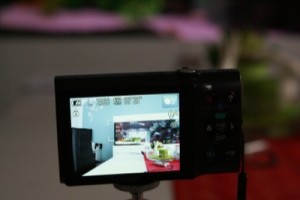 SONY DSC